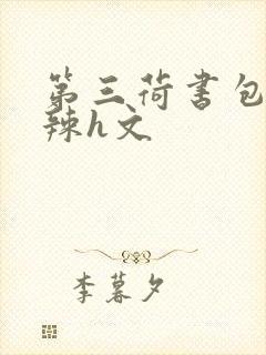 第三荷书包网高辣h文