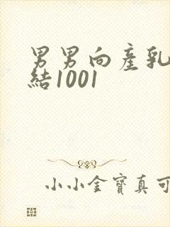 男男向产乳文小结1001封面