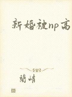 新婚被np高h封面