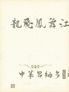 龙飞凤舞江一龙封面
