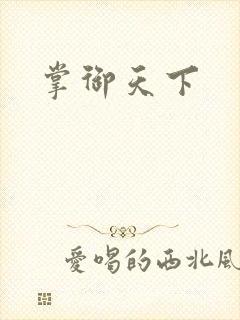 掌御天下封面