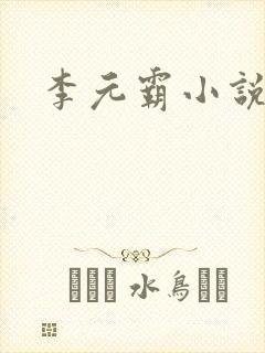 李元霸小说封面