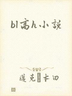 bl高h小说