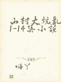 山村大炕乱肉续1-14集小说