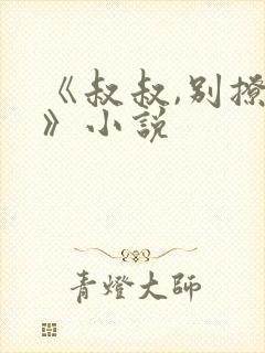 《叔叔,别撩我》小说