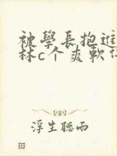 被学长抱进小树林c个爽软件