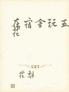 在宿舍玩五个校花