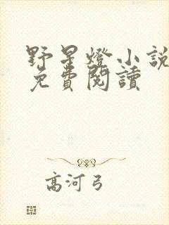 野星灯小说全文免费阅读