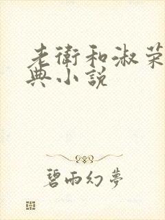 老卫和淑荣的经典小说封面