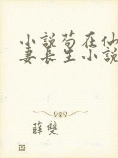 小说苟在仙武娶妻长生小说封面