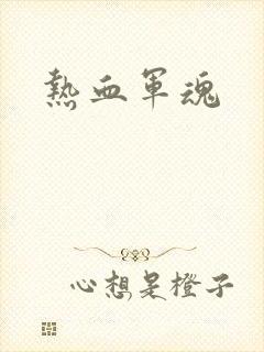 热血军魂封面