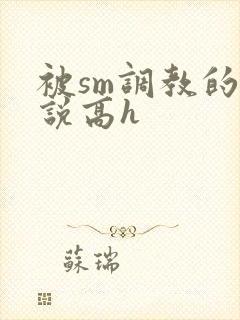 被sm调教的小说高h