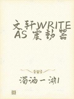 文轩WRITE AS 震动器封面