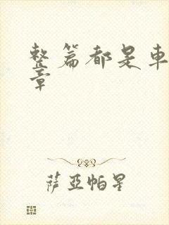 整篇都是车的文章