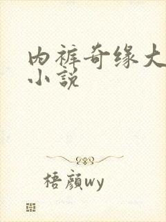 内裤奇缘大团结小说