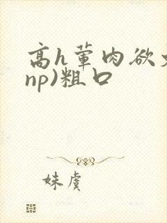 高h荤肉欲文(np)粗口