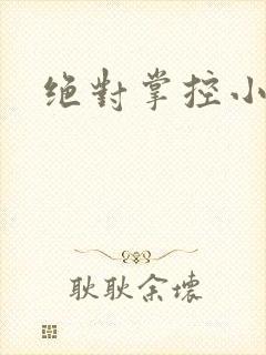 绝对掌控小说