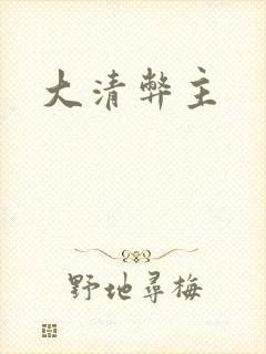 大清弊主