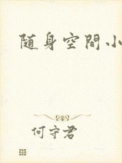 随身空间小说