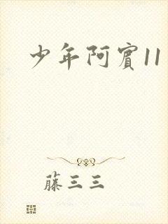 少年阿宾11封面