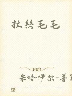 拉丝毛毛封面