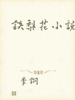 铁梨花小说封面