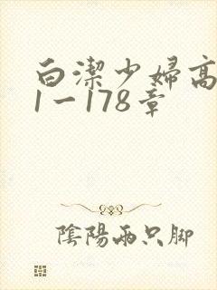 白洁少妇高义第1一178章
