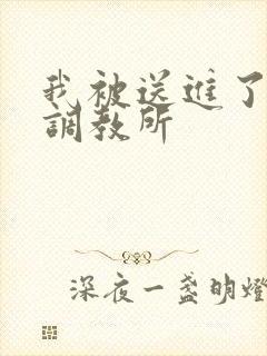 我被送进了私奴调教所