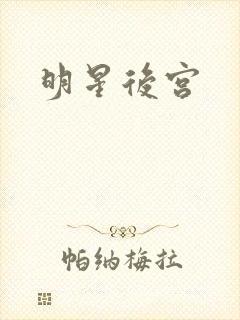 明星后宫