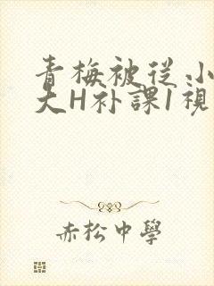 青梅被从小摸到大H补课1视频