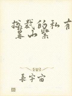 总裁的私有宝贝 暮山紫封面