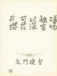 我可以触碰你的樱花深处吗封面