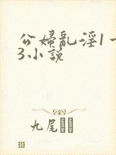 公妇乱淫1一13小说封面