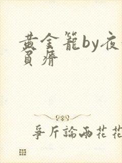 黄金笼by夜很贫瘠封面