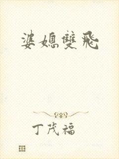婆媳双飞封面