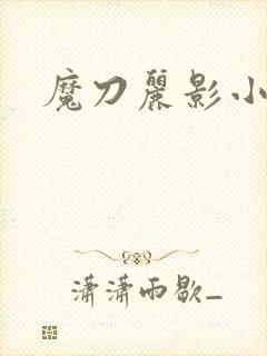 魔刀丽影小说封面