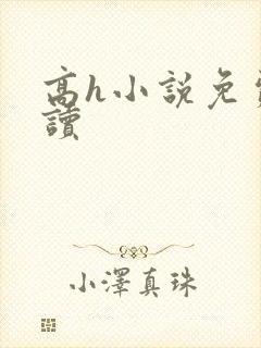 高h小说免费阅读