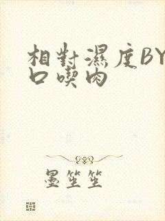 相对湿度BY大口吃肉