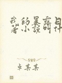 我的暴露日记原著小说叫什么