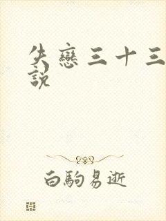 失恋三十三天小说