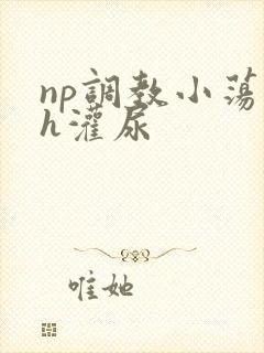 np调教小荡货h灌尿