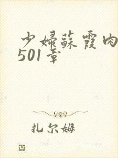 少妇苏霞肉欲第501章封面