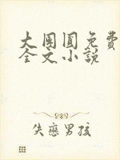 大团圆免费阅读全文小说