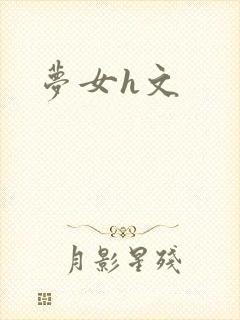 梦女h文