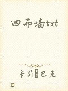 四面墙txt