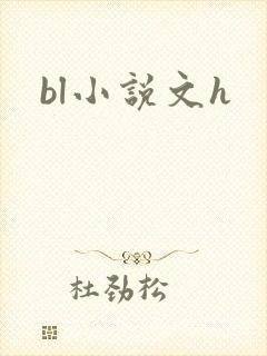 bl小说文h封面