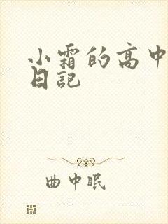 小霜的高中成长日记