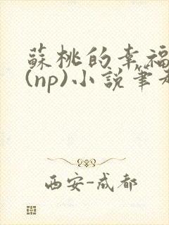 苏桃的幸福生活(np)小说笔趣阁沐沐