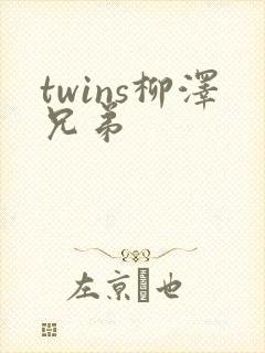 twins柳泽兄弟封面