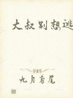 大叔别想逃